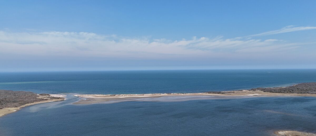 Coastal scene with the ocean in the background.